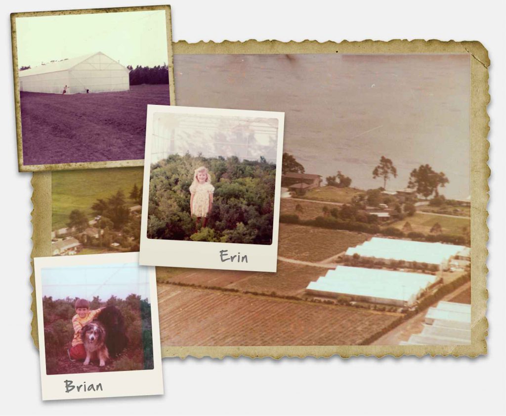 Por La Mar Greenhouses in 1970s, Erin Caird & Brian Caird